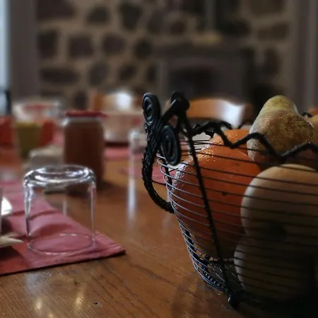 Retraite Champetre Proche Du Puy-en-velay Avec Acces Chemin De Compostelle Et Du Bouchet - Fr-1-582-455 Bed & Breakfast